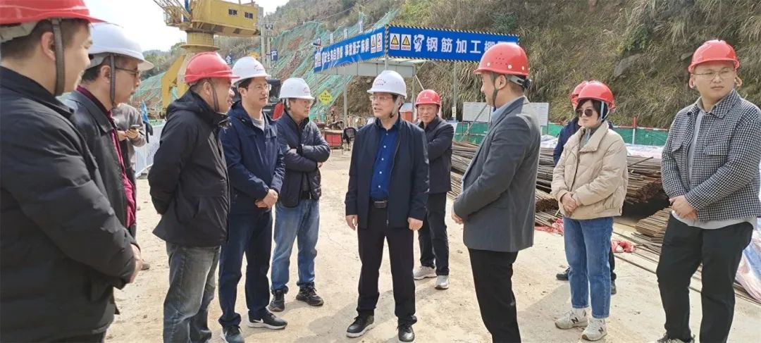 吴辉到大坳灌区及安置房项目工地调研